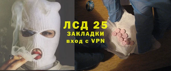 хмурый Алексин
