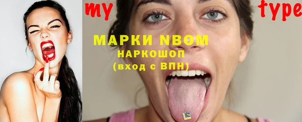 хмурый Алексин