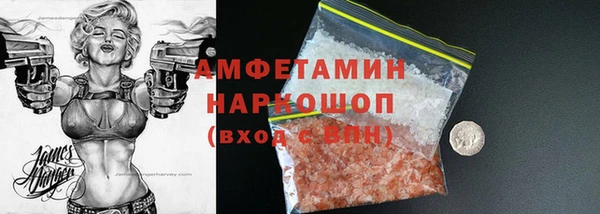 хмурый Алексин