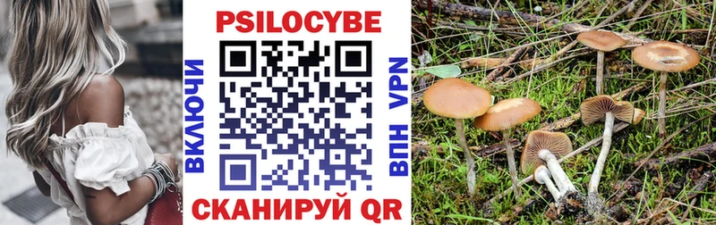 Галлюциногенные грибы мицелий  Безенчук 